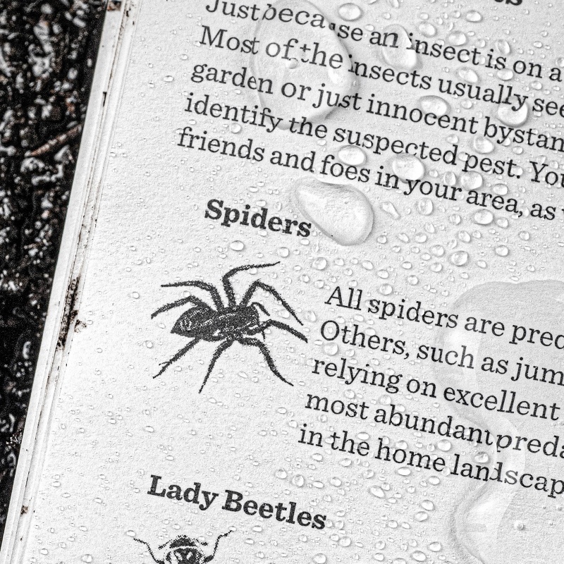 Spider shot of the reference materials.