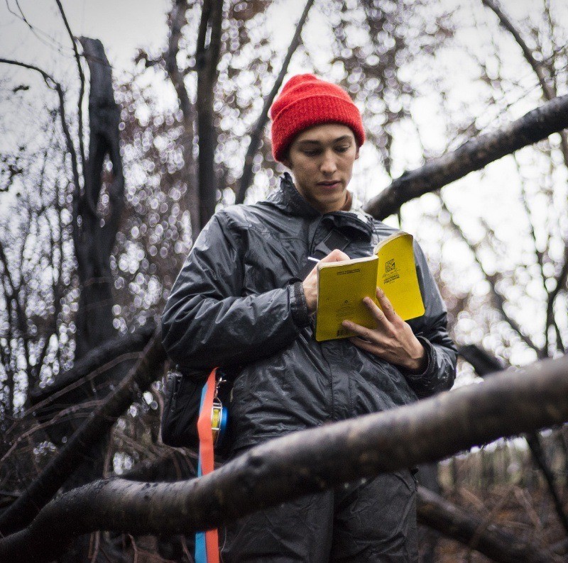arborist taking notes about damaged trees