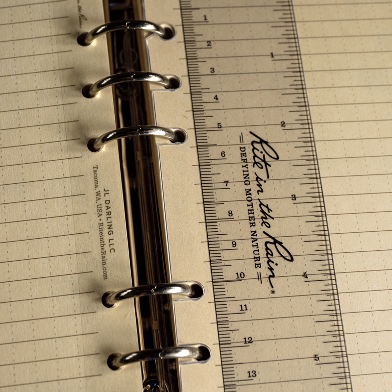 Close up of ring binder holding loose leaf.